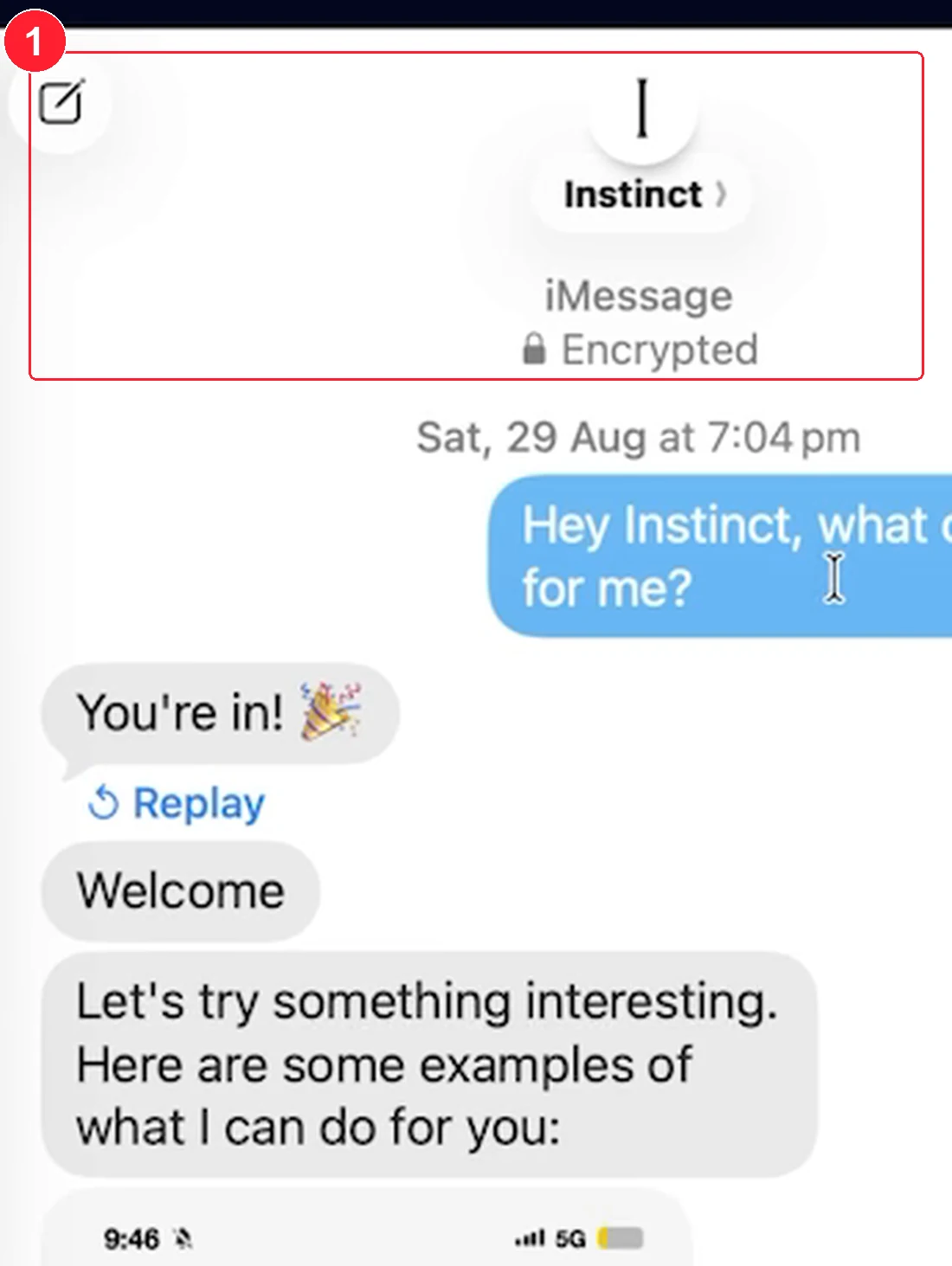 שיחת iMessage עם Instinct שמציגה הודעת פתיחה ודוגמה של הזמנת טיסה, מסומנת במסגרת אדומה